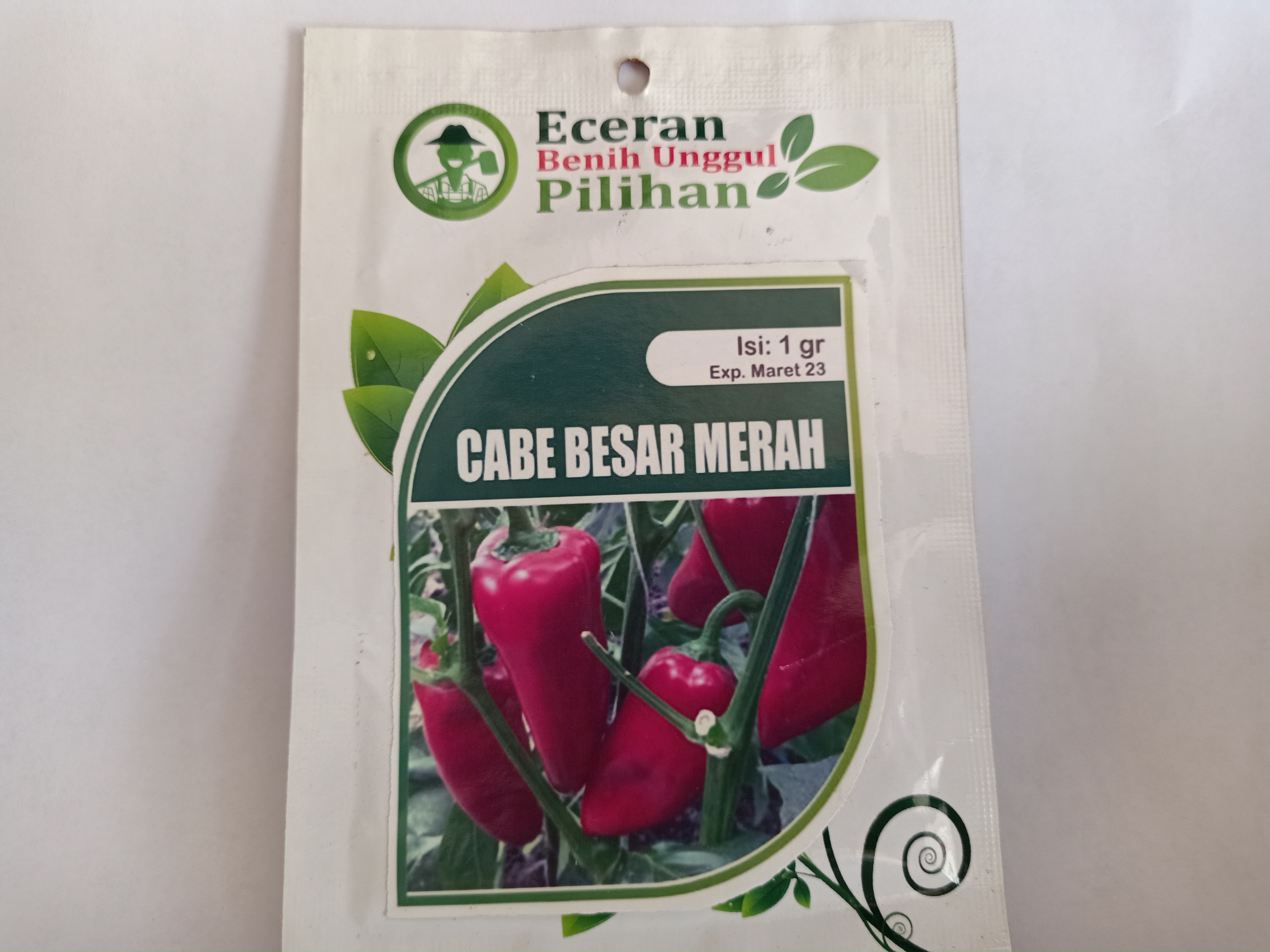 BIBIT CABE BESAR